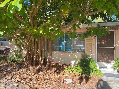 Poinciana, PORT ORANGE, FL 32127