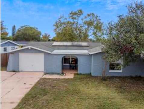 Cochise, PORT RICHEY, FL 34668