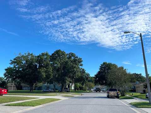 Ponderosa Pine, ORLANDO, FL 32825