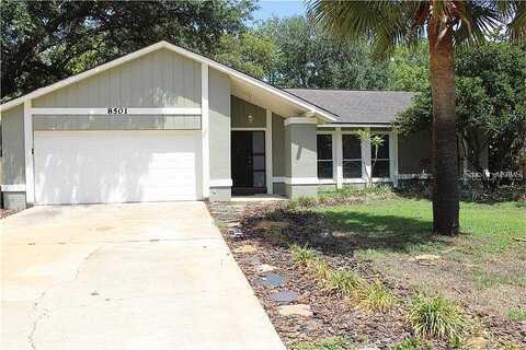 Butternut, ORLANDO, FL 32817