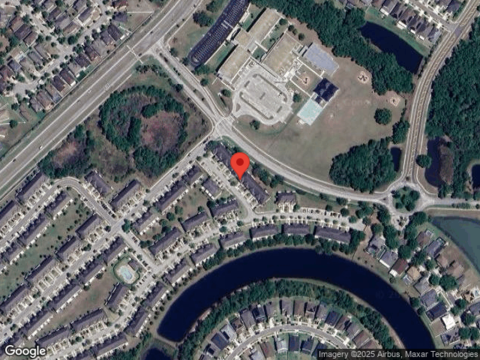 Painted Turtle, RIVERVIEW, FL 33578