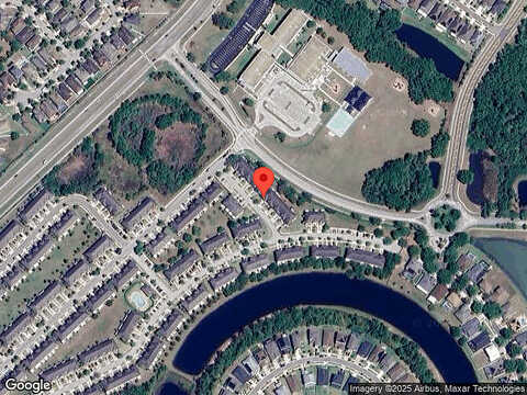 Painted Turtle, RIVERVIEW, FL 33578