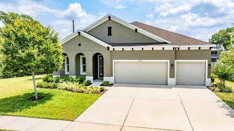 Sky Eagle, TAMPA, FL 33635