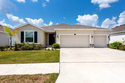 Steer Blade, ZEPHYRHILLS, FL 33541