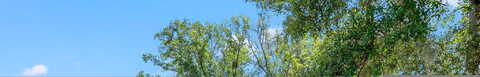 Sierra Madre, JACKSONVILLE, FL 32217