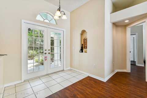 Fan Palm, LAND O LAKES, FL 34638