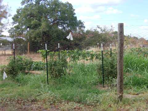 Madison, TOW, TX 78672