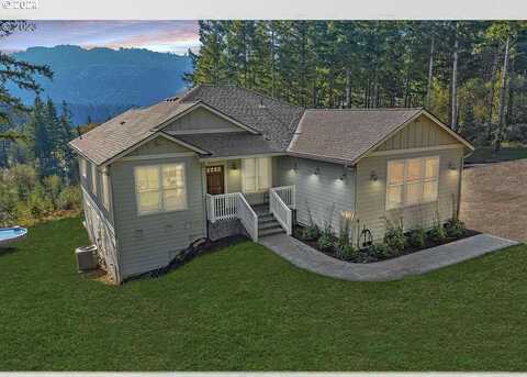 309Th, YACOLT, WA 98675
