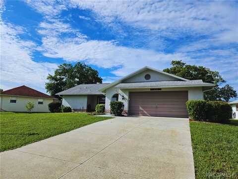 Staggerbush, BEVERLY HILLS, FL 34465