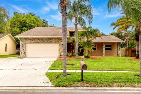 Adam, PALM HARBOR, FL 34683