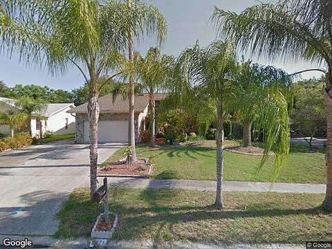 Adam, PALM HARBOR, FL 34683