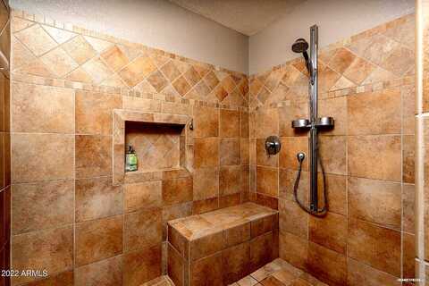 Ivanhoe, CHANDLER, AZ 85224