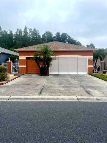 Tangor, LAND O LAKES, FL 34637