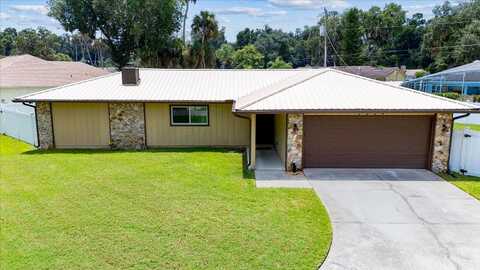 Needle Palm, EDGEWATER, FL 32141