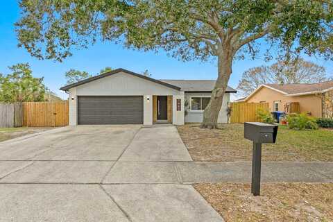 Chesterfield, DUNEDIN, FL 34698