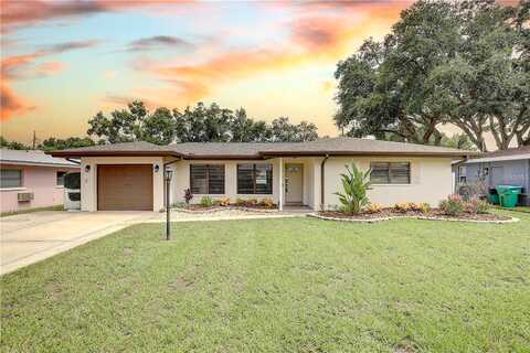 Orange, CLEARWATER, FL 33756