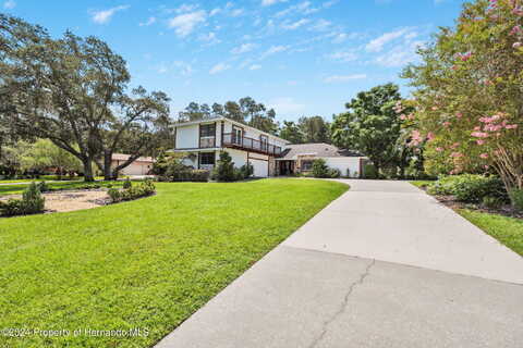 Byrsonima, HOMOSASSA, FL 34446