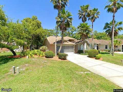 Byrsonima, HOMOSASSA, FL 34446
