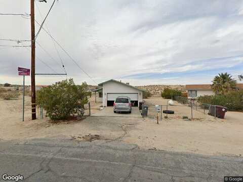 Lupine, TWENTYNINE PALMS, CA 92277