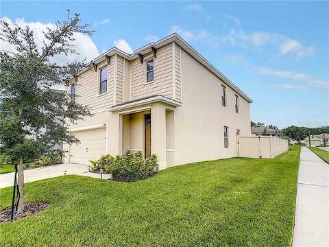 Passion Vine, OCOEE, FL 34761