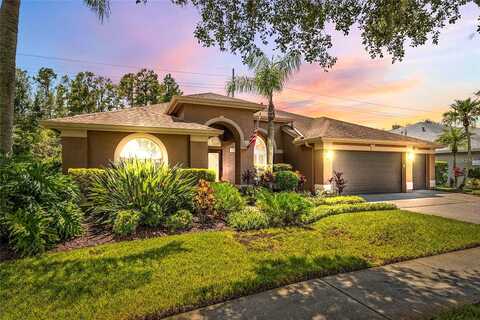 Seabrook, TAMPA, FL 33626