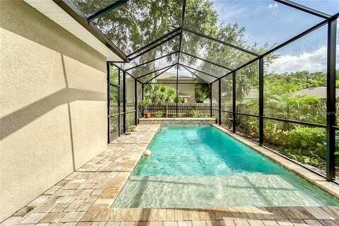 Mason, BRANDON, FL 33511