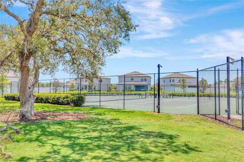 Rain Lily, RIVERVIEW, FL 33579
