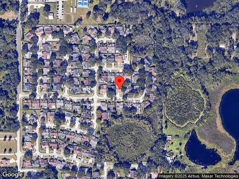Belladonna, BRANDON, FL 33510