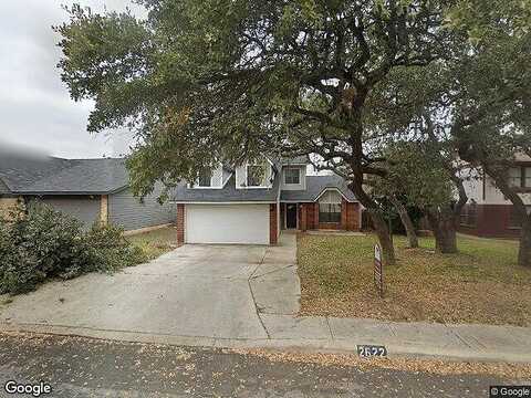 Johnson Grass, SAN ANTONIO, TX 78251