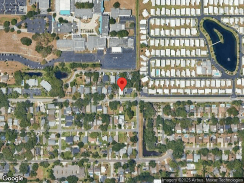 Falcon, DUNEDIN, FL 34698