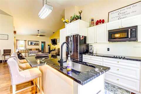 Basswood, LAND O LAKES, FL 34639