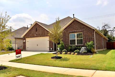 Safai, DENTON, TX 76210
