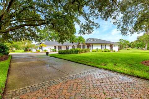 Saddlebrook, WESLEY CHAPEL, FL 33543