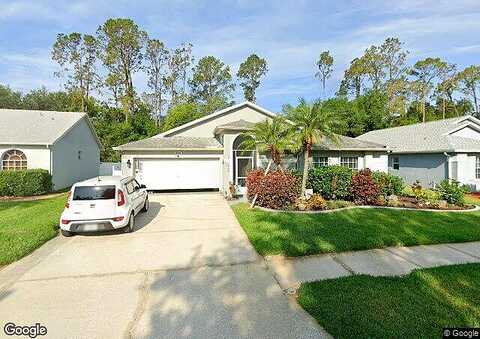 New Brittany, ZEPHYRHILLS, FL 33541