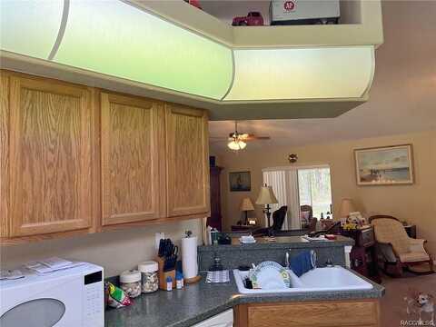 Sanders, HOMOSASSA, FL 34446