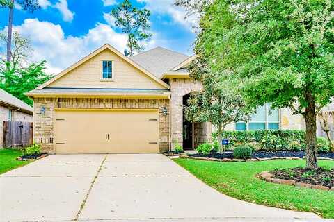 Forest Elk, MONTGOMERY, TX 77316