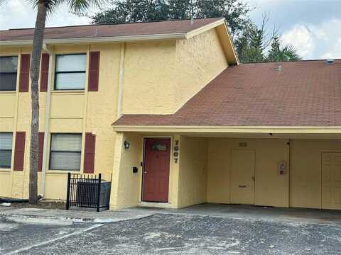 Camarina Calle, TAMPA, FL 33615