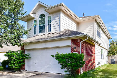 Dawn Shadow, FRESNO, TX 77545
