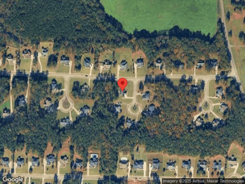 Live Oak, FORSYTH, GA 31029