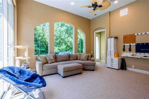 Winged Elm, WESLEY CHAPEL, FL 33544