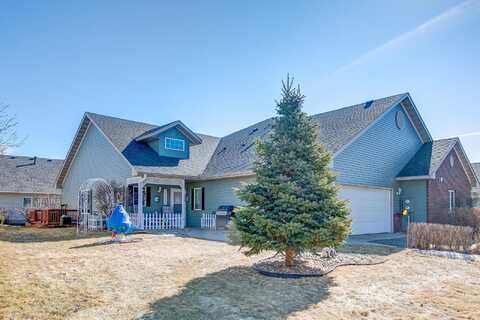 Bluebird, CLEARWATER, MN 55320