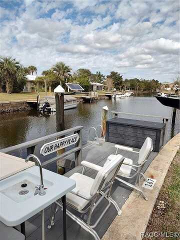Seagull, CRYSTAL RIVER, FL 34429