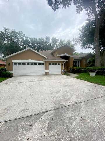 Eagle Bluff, VALRICO, FL 33596