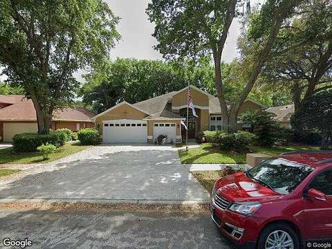 Eagle Bluff, VALRICO, FL 33596