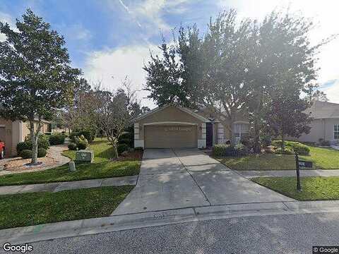 Triggerfish, HOLIDAY, FL 34691