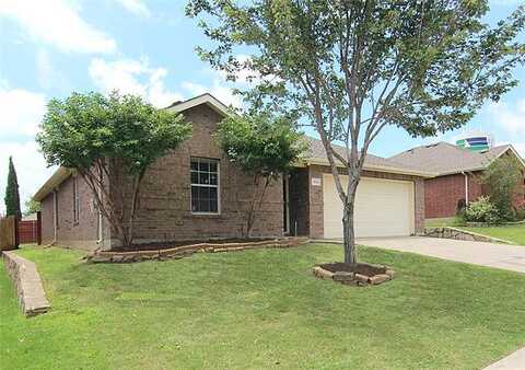 Water Lily, LITTLE ELM, TX 75068