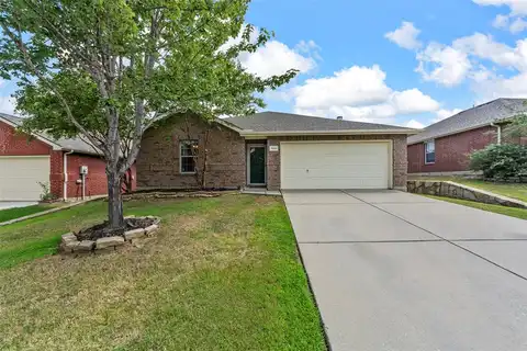 Water Lily, LITTLE ELM, TX 75068
