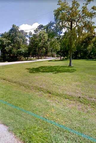 Ash, DICKINSON, TX 77539
