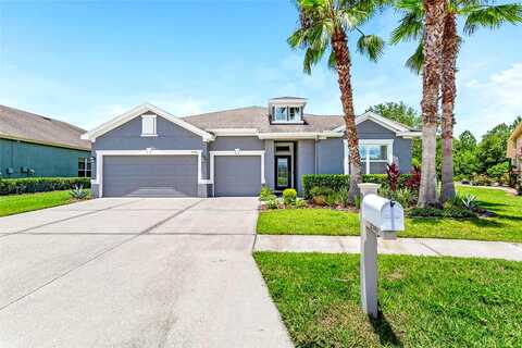 Kenchester, WESLEY CHAPEL, FL 33543