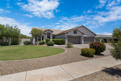 Marcus, QUEEN CREEK, AZ 85142